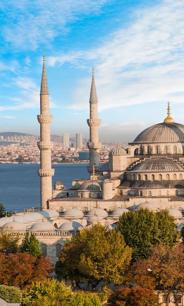 Clinique greffe capillaire Turquie