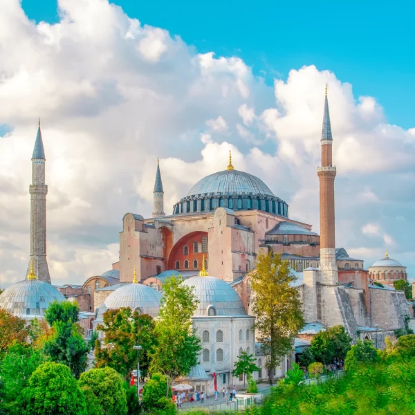 Greffe de cheveux Turquie